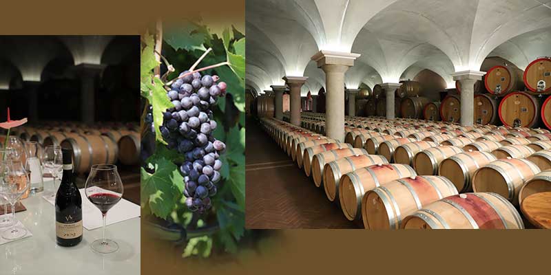 Wine tasting cellar tour